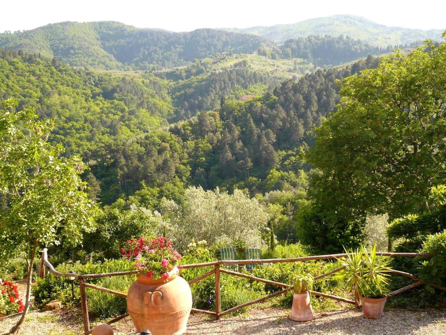 Ventena Vecchia Antico Frantoio Montevarchi Exteriör bild