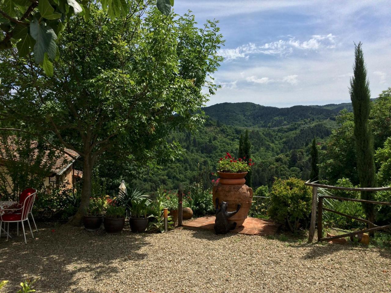 Ventena Vecchia Antico Frantoio Montevarchi Exteriör bild