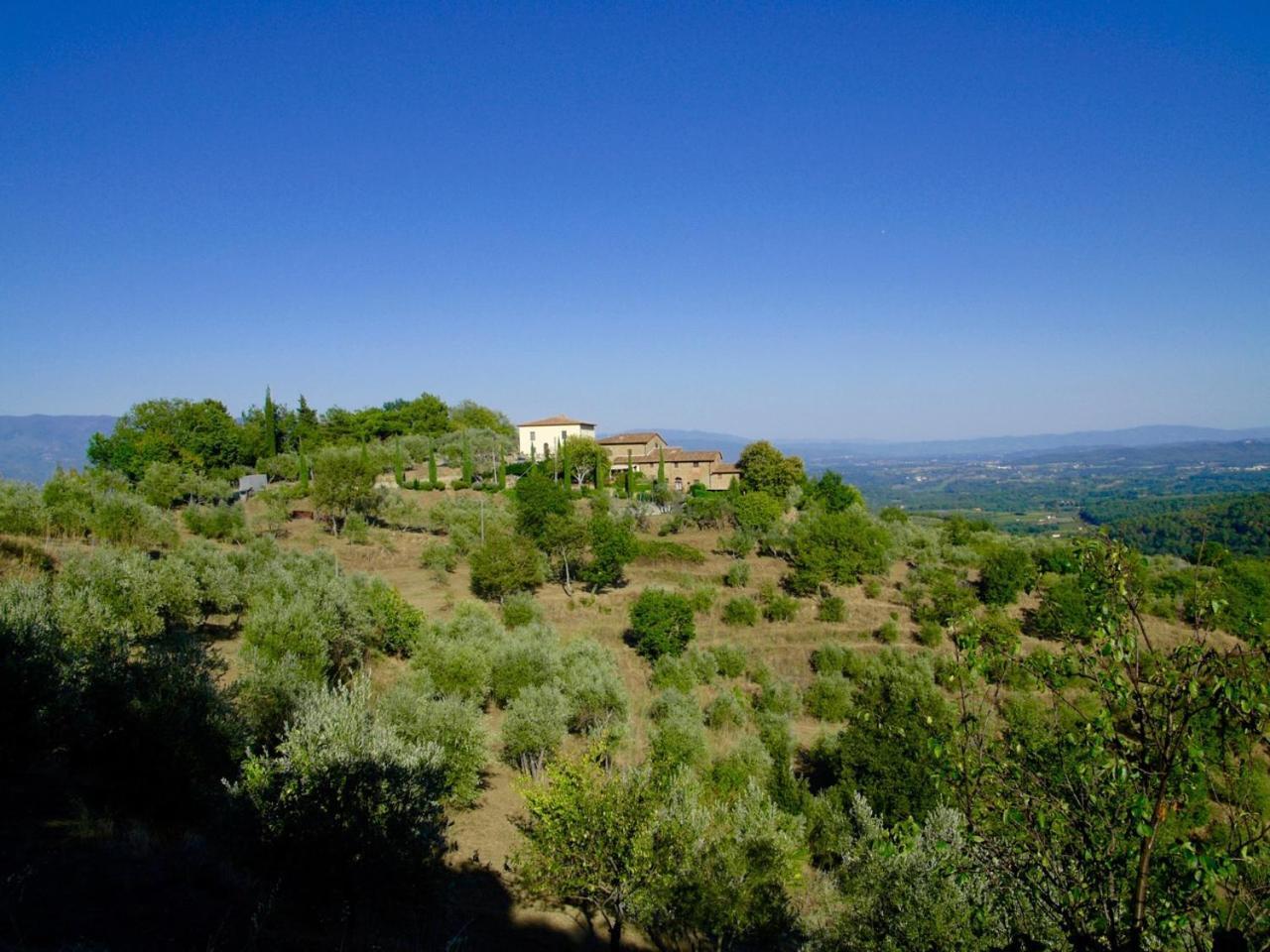 Ventena Vecchia Antico Frantoio Montevarchi Exteriör bild